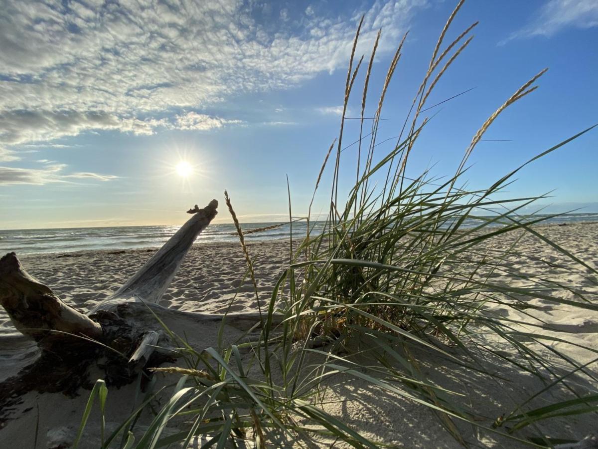 Fewo Unweit Warnemuende Sobierajczyk In Markgrafenheide Росток Экстерьер фото